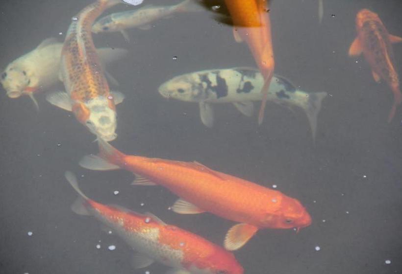 פנסיון Le Residence De Josephine