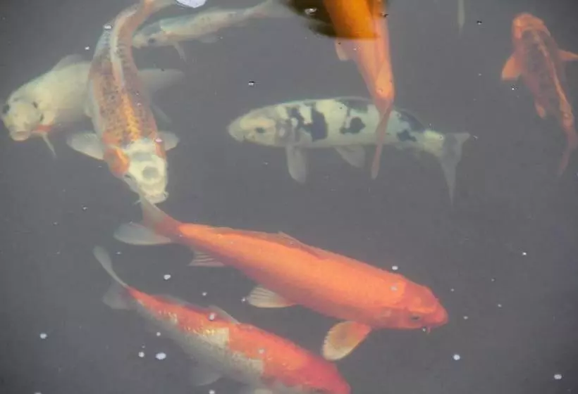 Majatalo Le Residence De Josephine