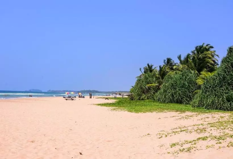 Majatalo Channa Villa & Tours