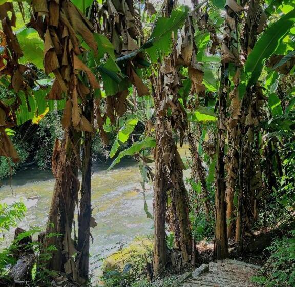 פנסיון Nina Flor Pousada Lumiar