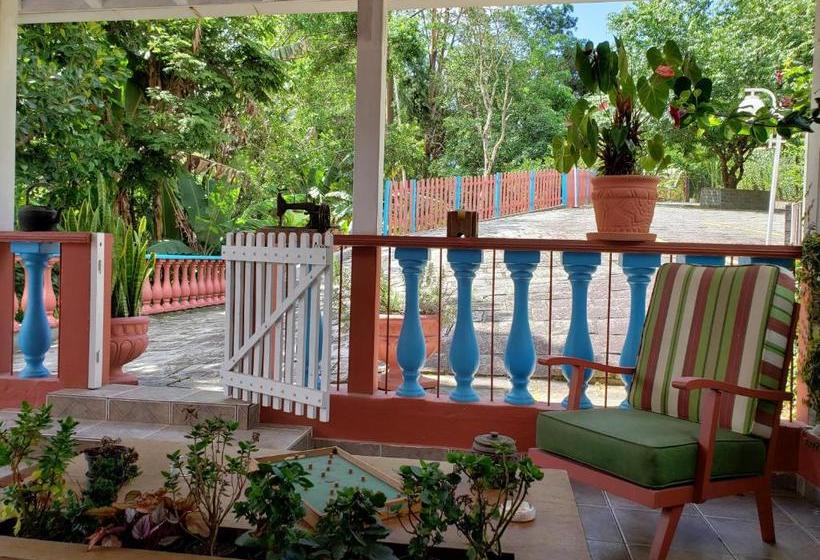 פנסיון Nina Flor Pousada Lumiar