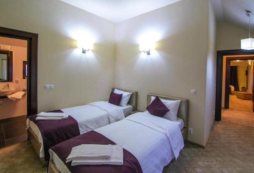 膳宿费 Pietrele Lui Solomon