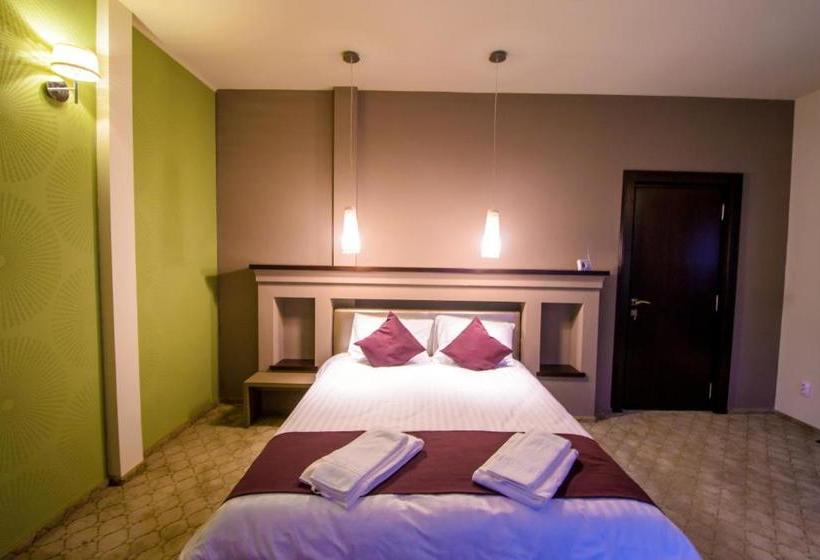 膳宿费 Pietrele Lui Solomon