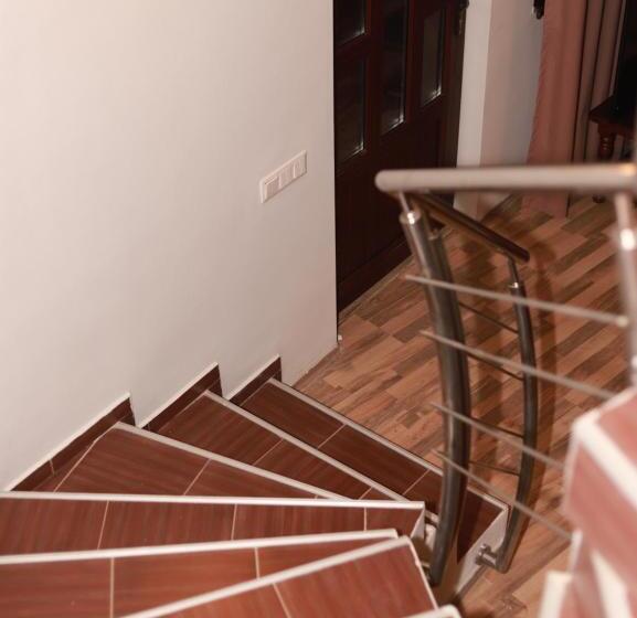 膳宿费 Pietrele Lui Solomon