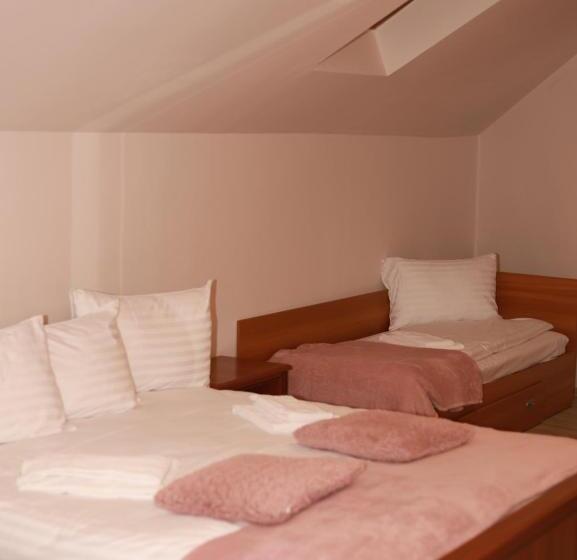 膳宿费 Pietrele Lui Solomon