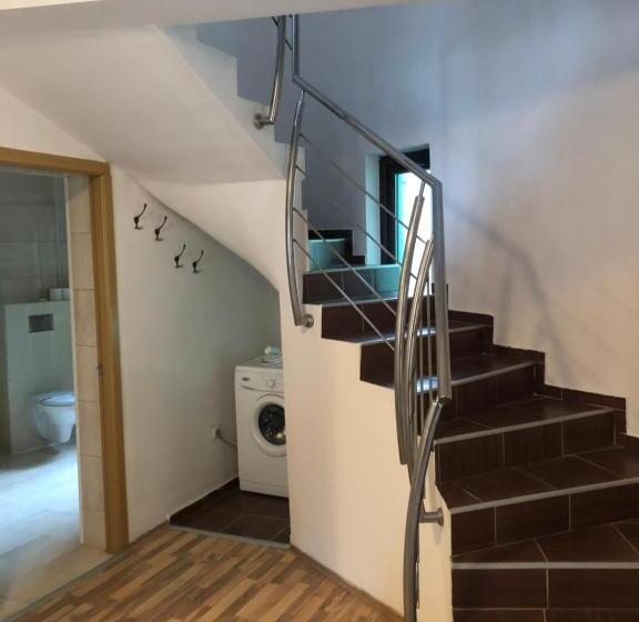 膳宿费 Pietrele Lui Solomon