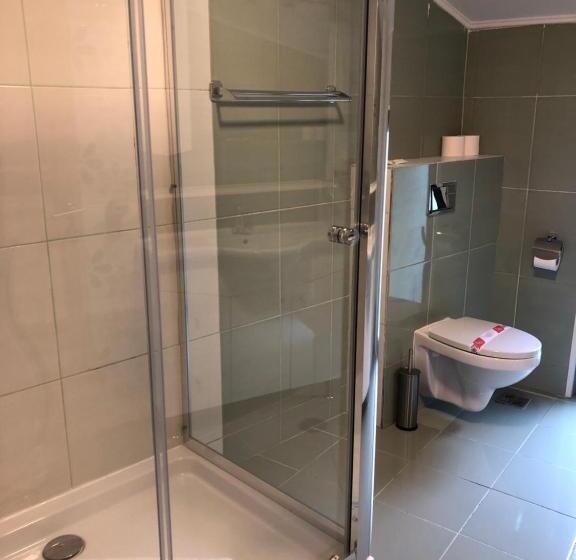 膳宿费 Pietrele Lui Solomon