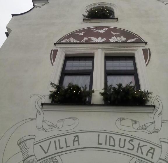펜션 Villa Liduška S Kavárnou
