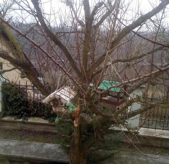 펜션 Villa Liduška S Kavárnou