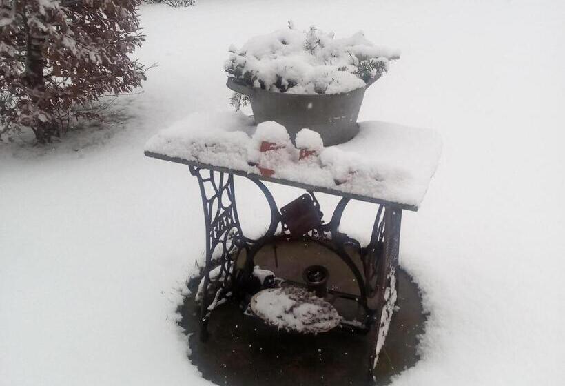 펜션 Villa Liduška S Kavárnou