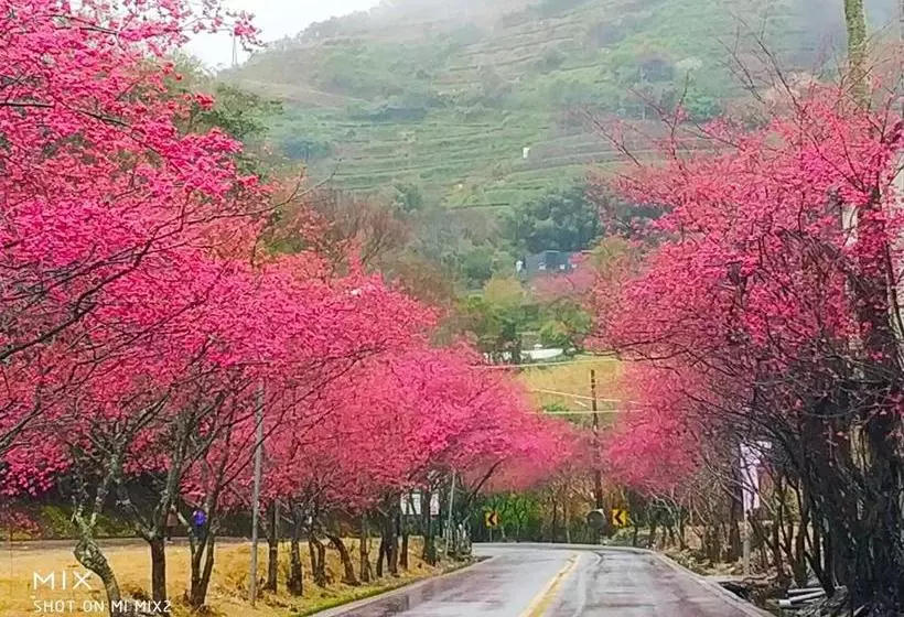 هاستل Green City