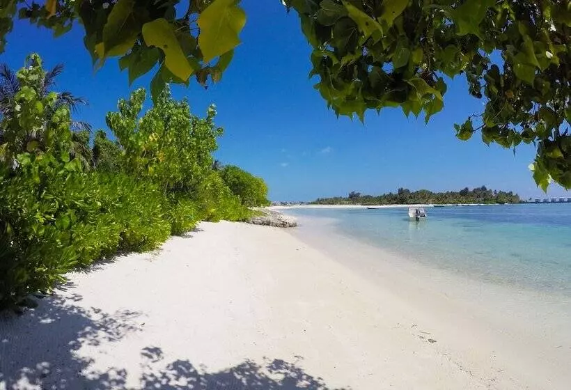 پانسیون Ithaa Beach Maldives