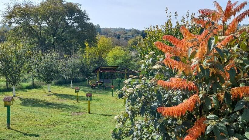 پانسیون Kucerak Kod Bobe Vrdnik