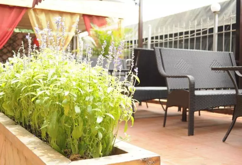 پانسیون Shuhaiwan Guest House