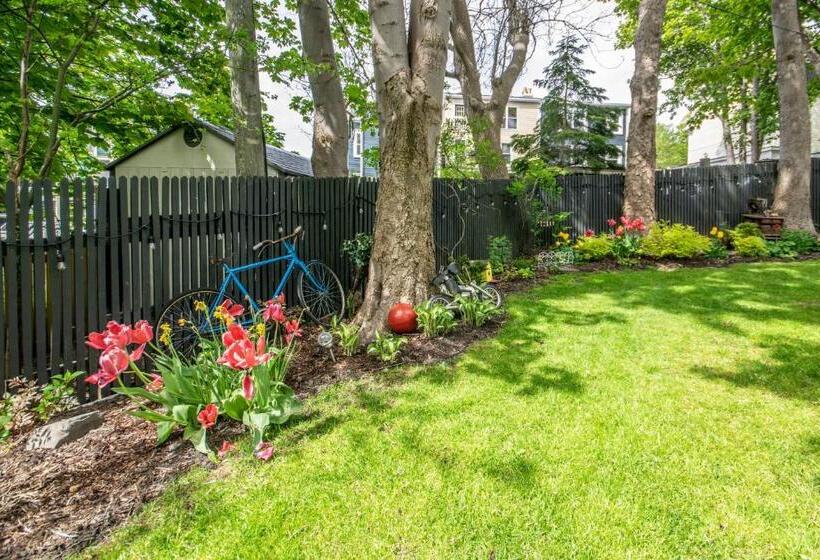 پانسیون The Elizabeth Manor Guesthouse