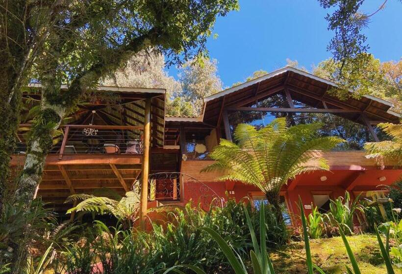 Pansiyon Vivie Pousada