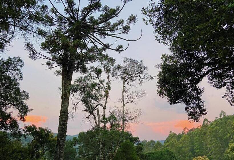 Pansiyon Vivie Pousada