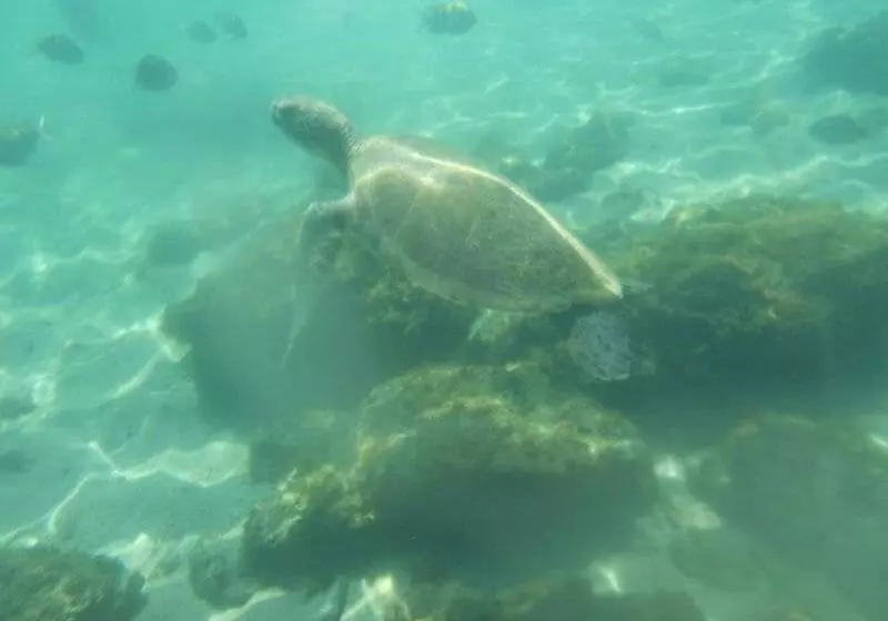 Majatalo Beto´s Pousada