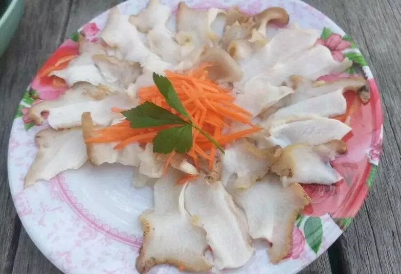 Majatalo Pd Guesthouse