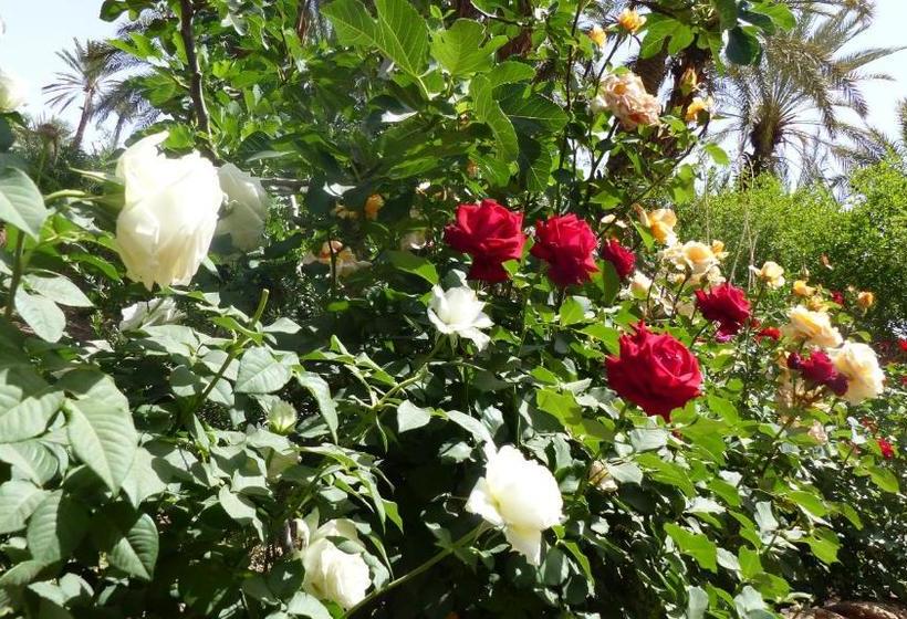 بنسيون Riad Tabhirte