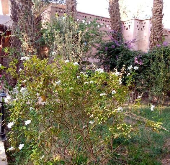 بنسيون Riad Tabhirte