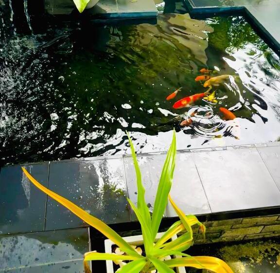 Pension Travellers Halt