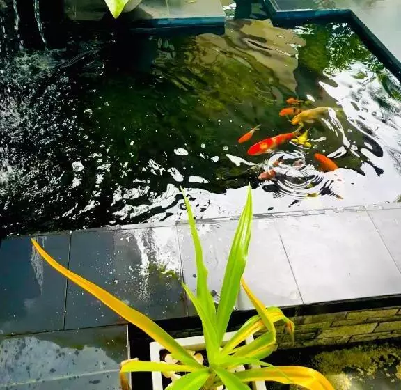 Majatalo Travellers Halt