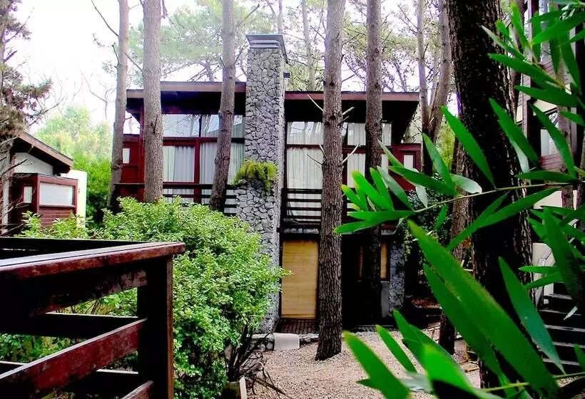 Altos Medanos Cabañas & Club De Bosque
