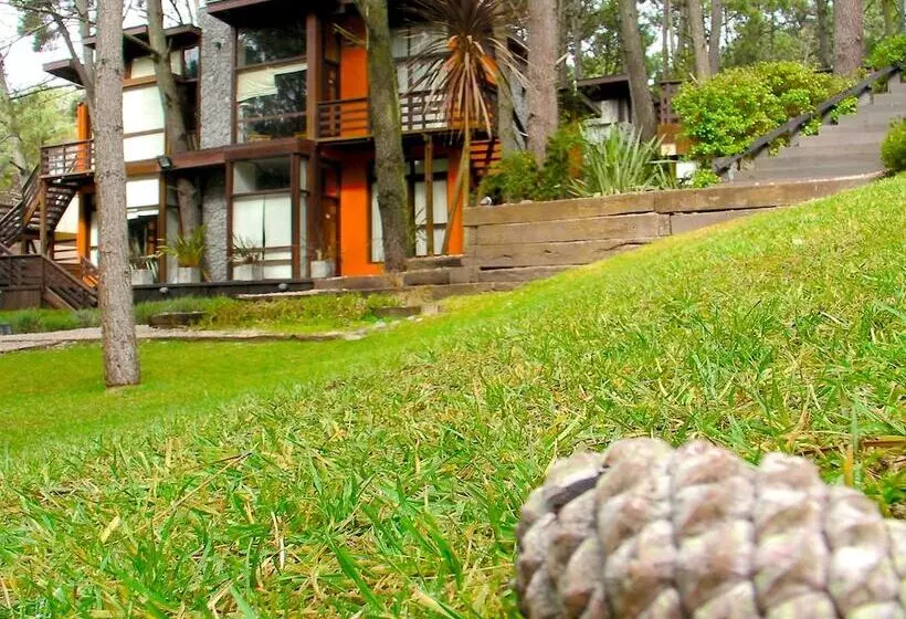 Altos Medanos Cabañas & Club De Bosque