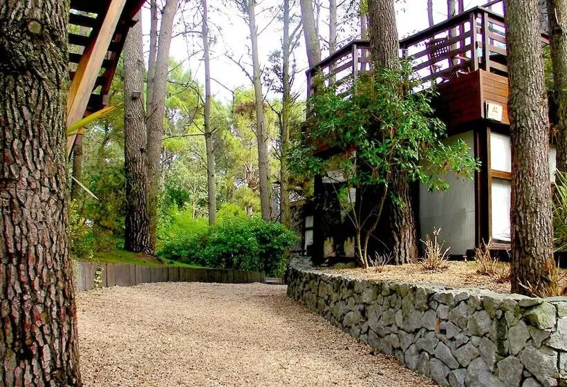 Altos Medanos Cabañas & Club De Bosque