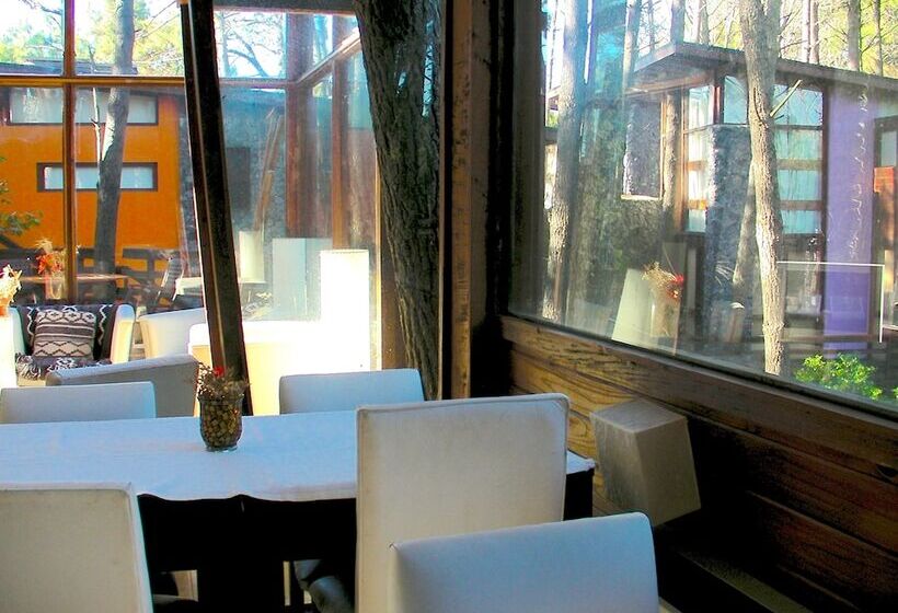 Altos Medanos Cabañas & Club De Bosque