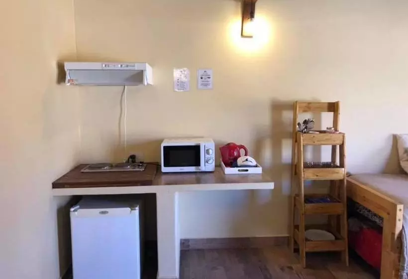 El Viento De Mi Sueño