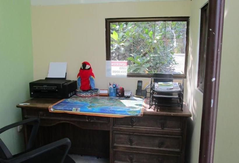 فندق Sueño Tranquilo