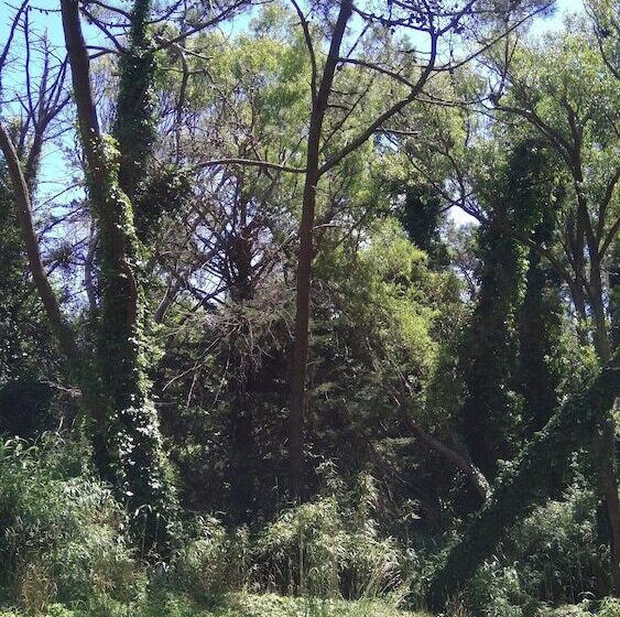 ペンション Hostería Las Grullas