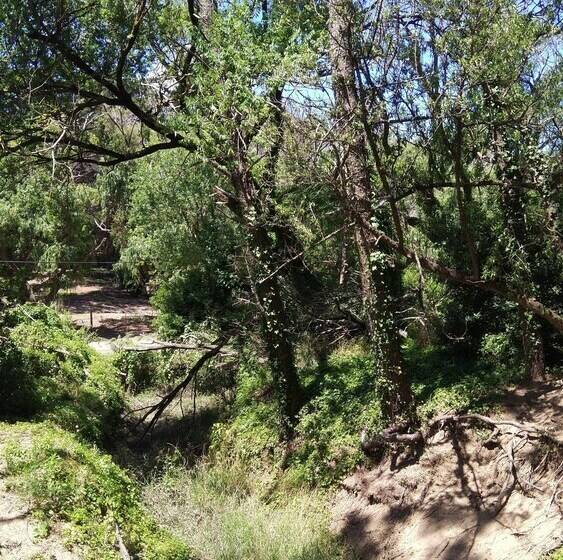 ペンション Hostería Las Grullas