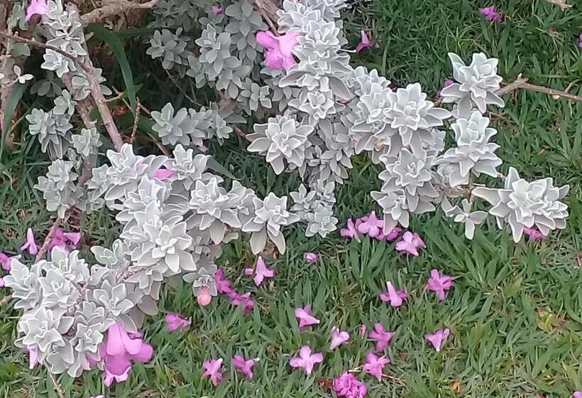 پانسیون Chacara Manaca Da Serra