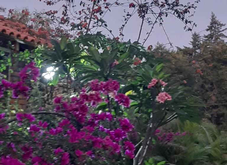 پانسیون Chacara Manaca Da Serra