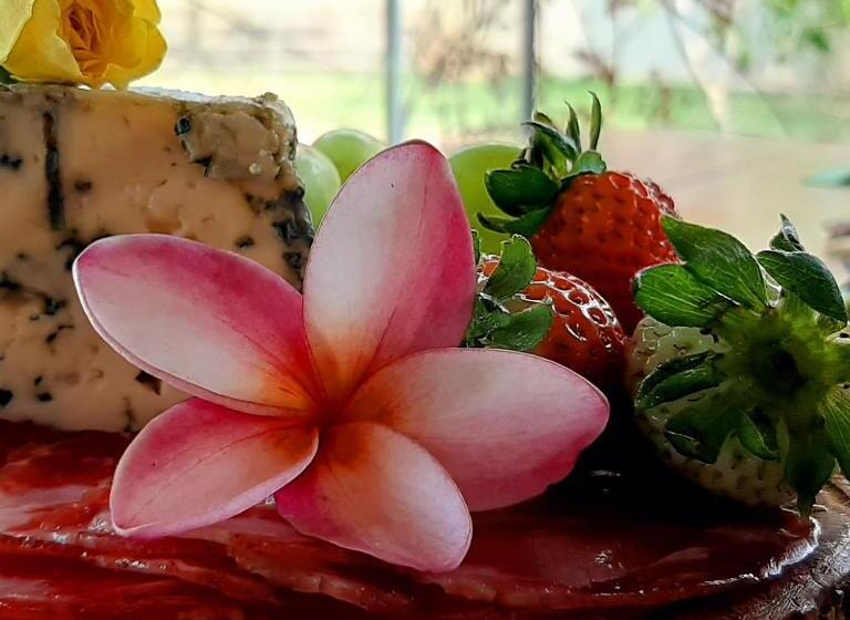 پانسیون Chacara Manaca Da Serra