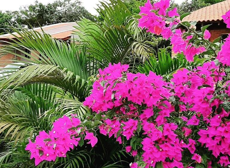 پانسیون Chacara Manaca Da Serra