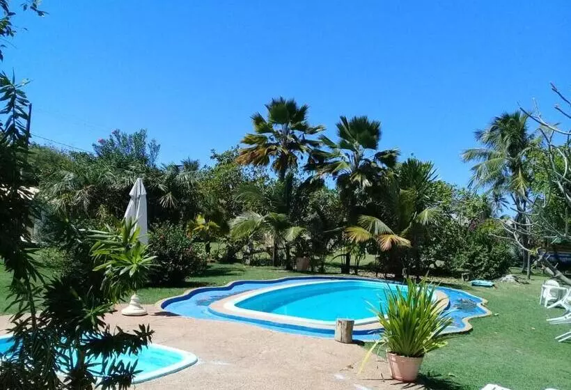 ペンション Pousada Marezia Top 5 Na Linha Verde