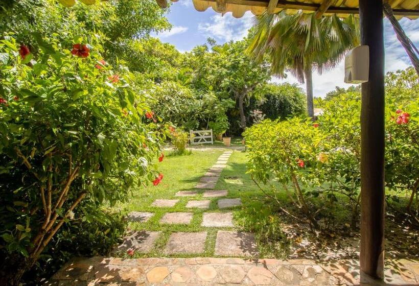 Pension Pousada Marezia Top 5 Na Linha Verde