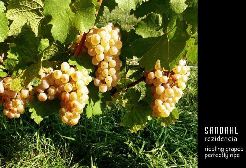 Pensionat Sandahl Rezidencia