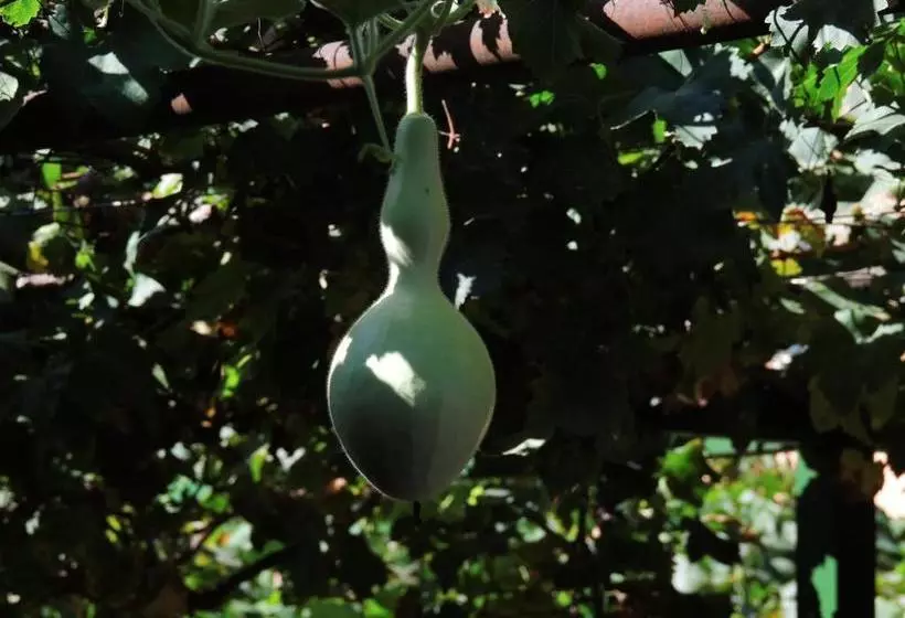 Apart Cabañas De La Plaza