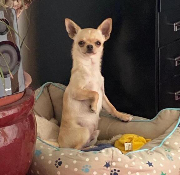 مبيت وإفطار Amsterdam Barangay