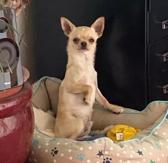 ベッドアンドブレックファースト Amsterdam Barangay