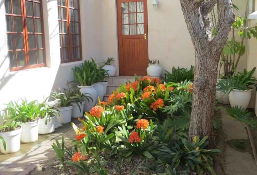 بنسيون Bougain Villa Guesthouse