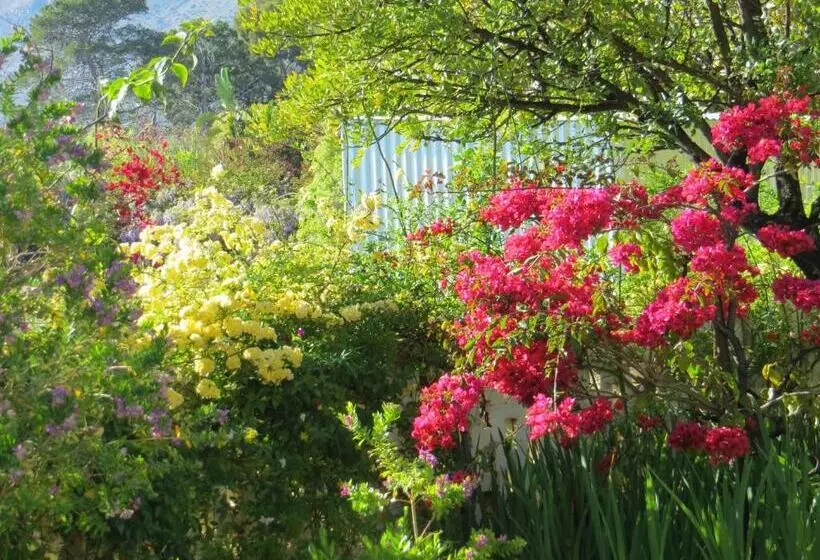 Majatalo Bougain Villa Guesthouse