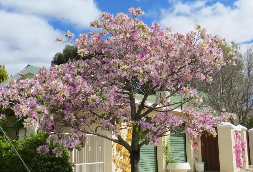 Majatalo Bougain Villa Guesthouse