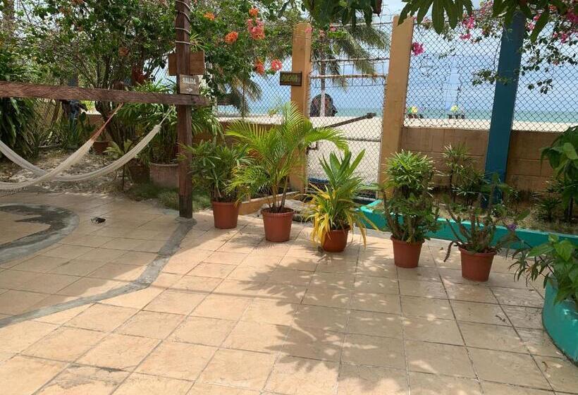 Pension Cabañas Ecologicas Cayapas