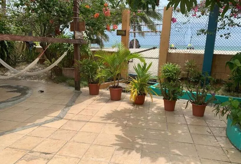 Majatalo Cabañas Ecologicas Cayapas